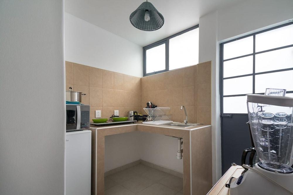 JUUB Oaxaca Experience