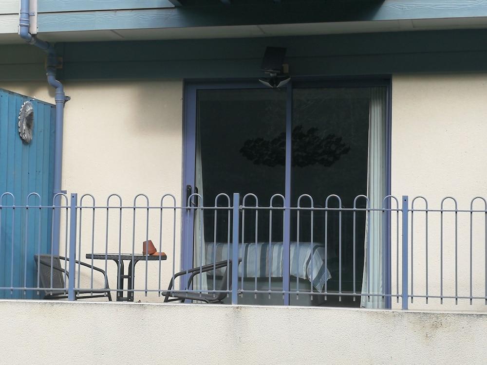 Blue Mackerel - Adults Only