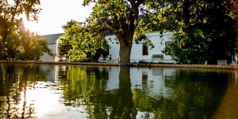 Audreys Vineyard Cottage & Homestead