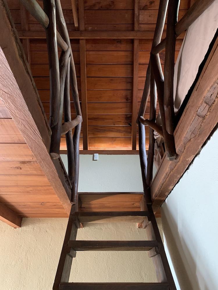 Nexpa Surf Cabañas Mar de Noche