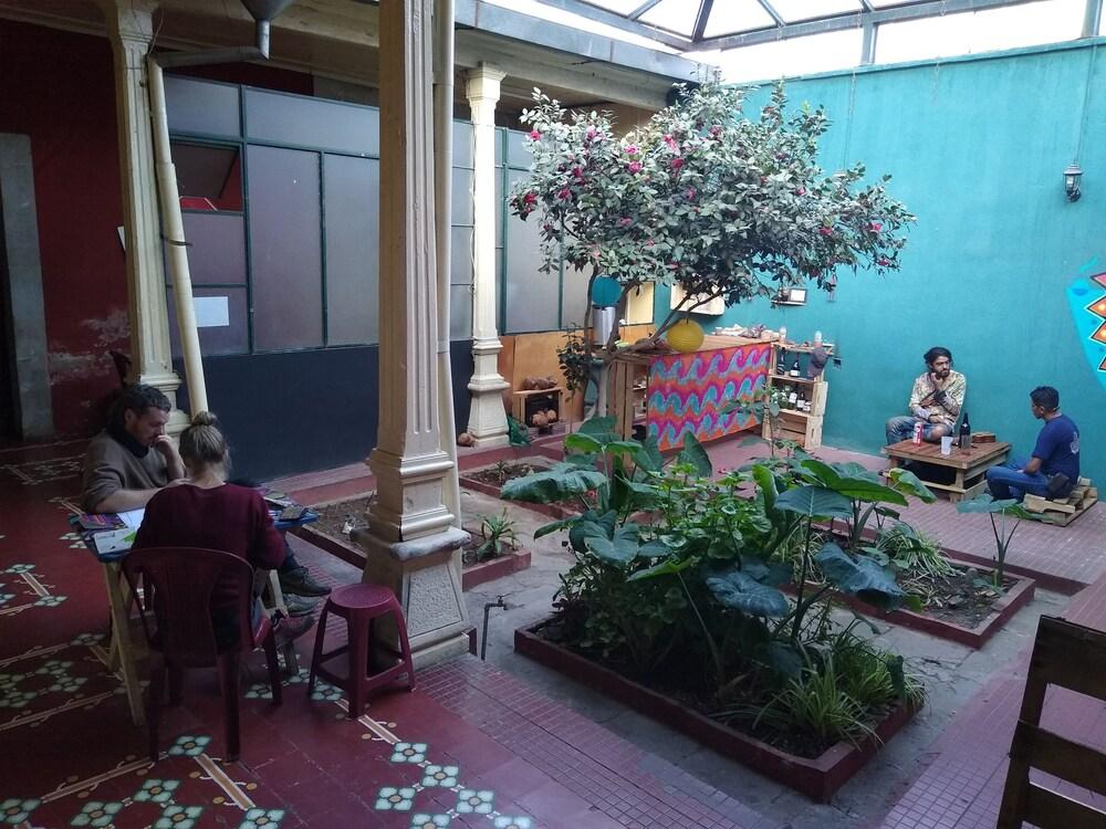 Pachama Café Hostal