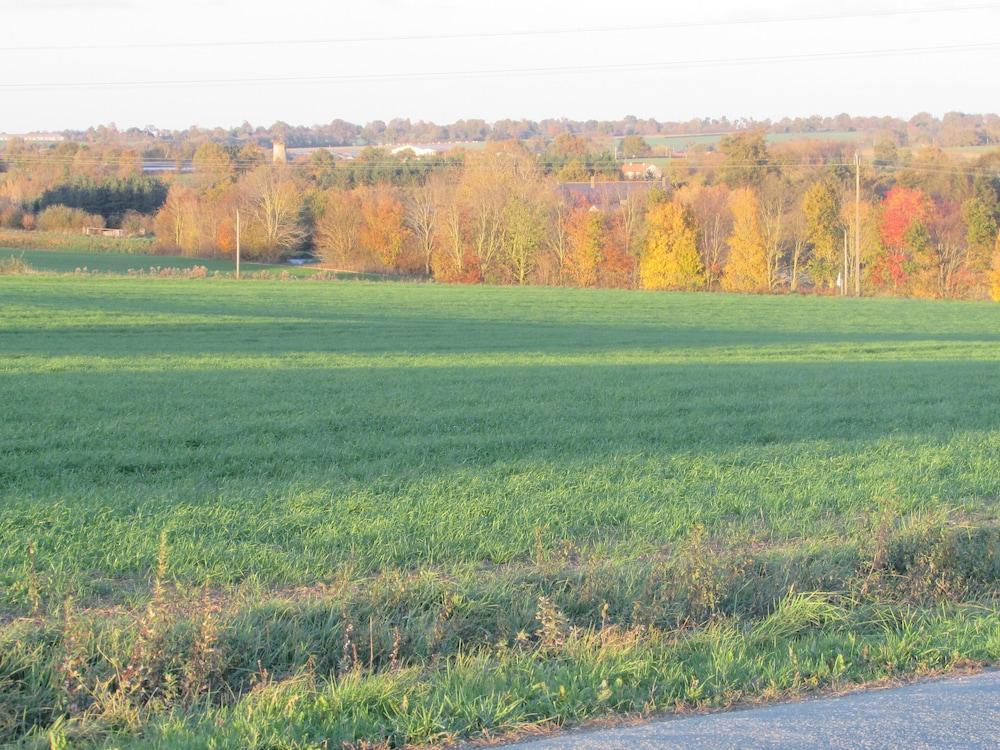 Chambre D'hotes La Basse Gougeonnière