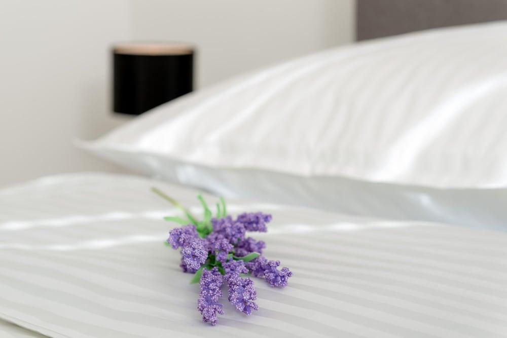 Spalato Dream Apartments