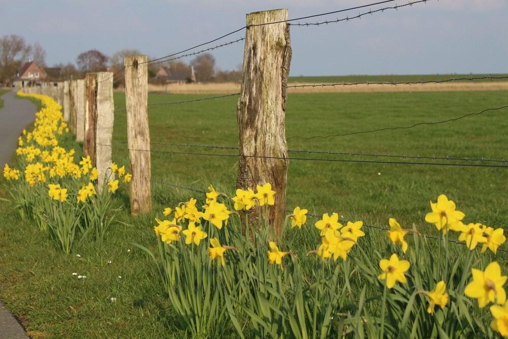 Ferienwohnung "meeresbrise"