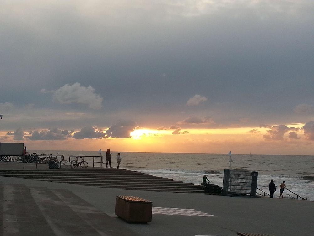 Ferienwohnung "silberdiestel"