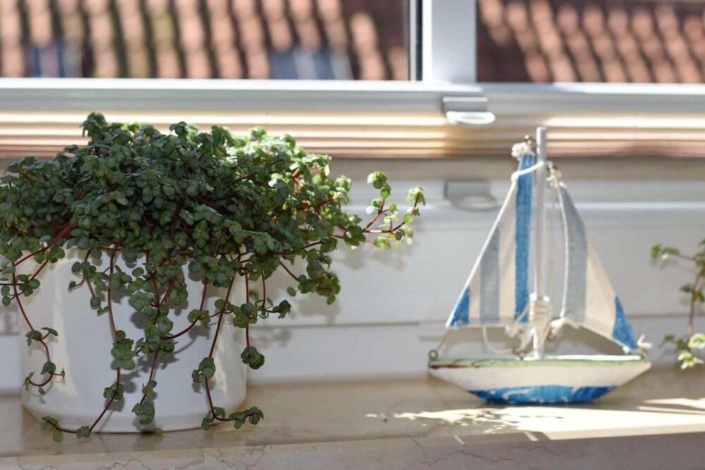 Ferienwohnung Sonnenblume