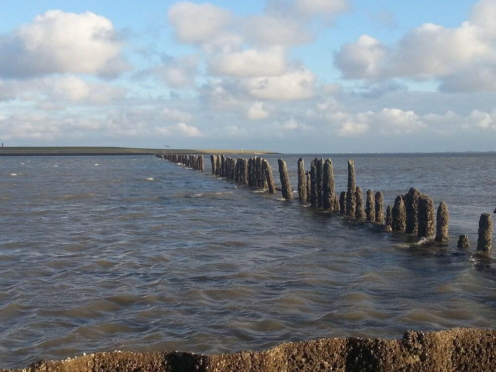 Ferienwohnung "dünenrose"