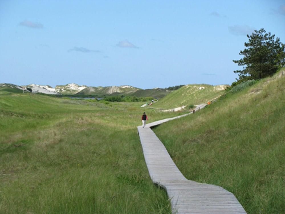 Ferienhaus "heißer Sand", Whg 3