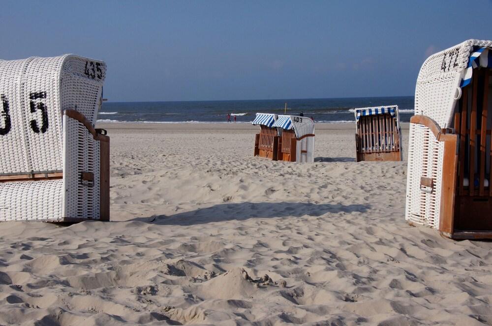 Goldene-linie 4 Taubennest