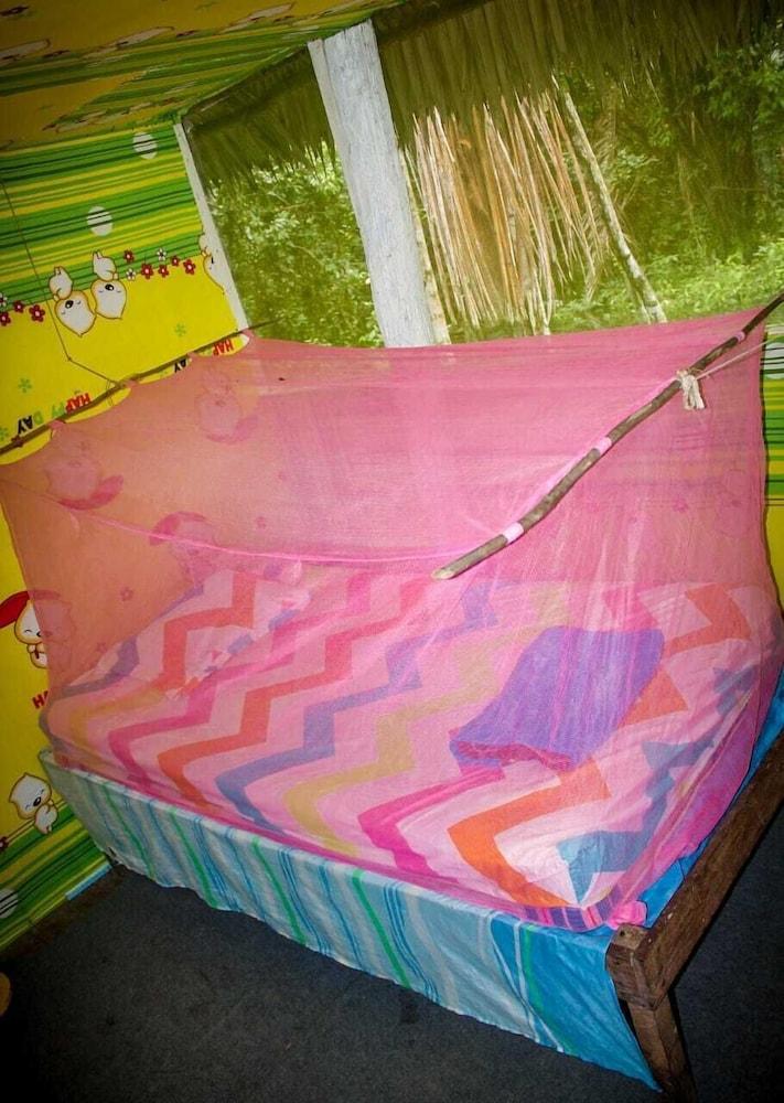 Ecological Jungle Trips