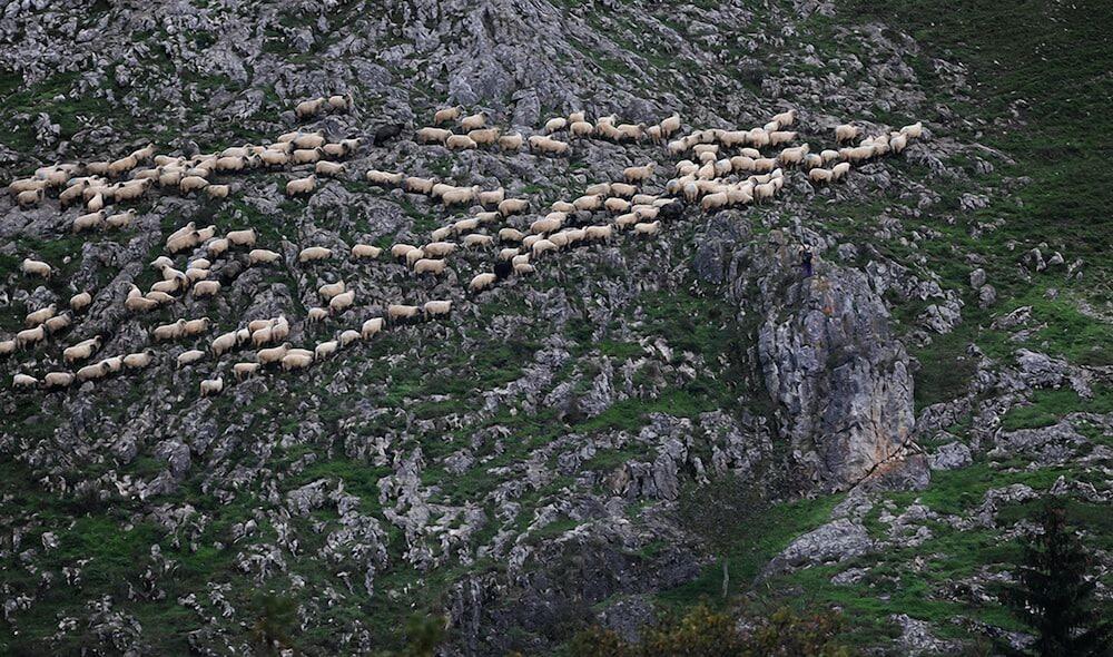 Casa Kiraly Vendeghaz