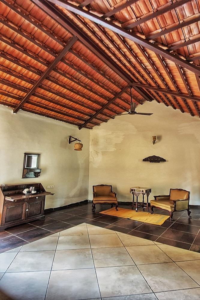 Greetoe Celebration Van Vilas