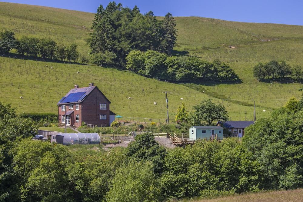 The Little Bunk House