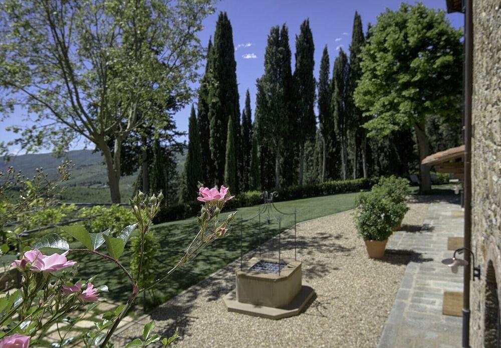 Luxury Chianti in Olive