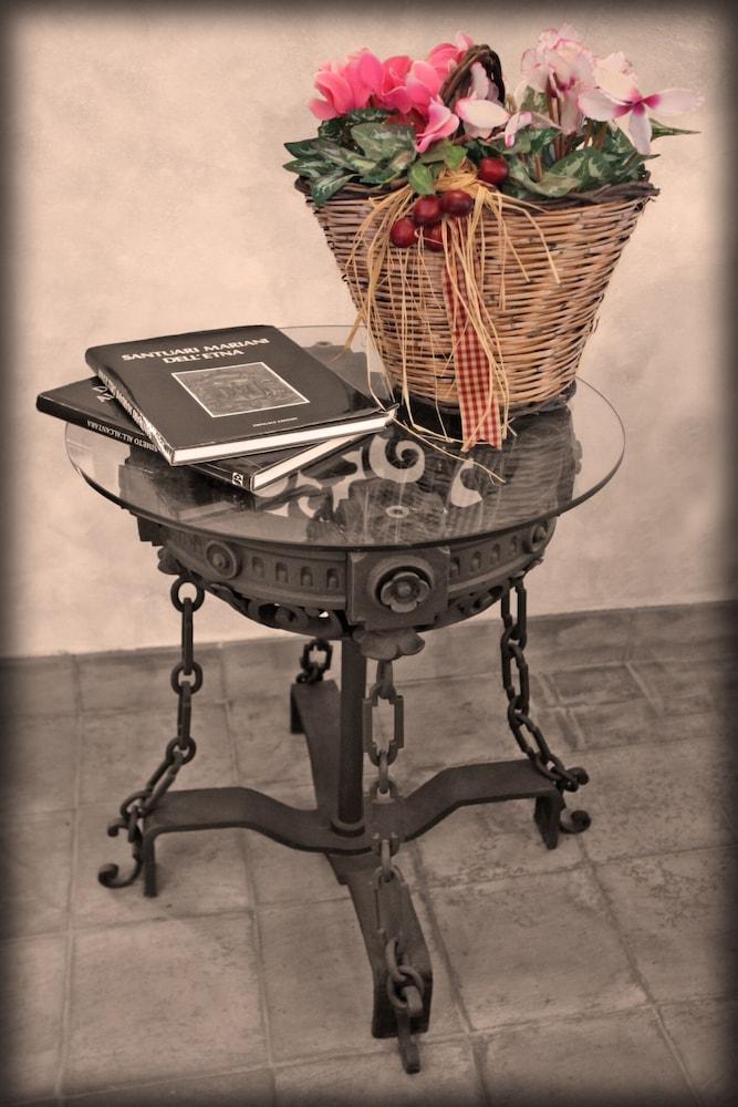 The Garden in the City Center