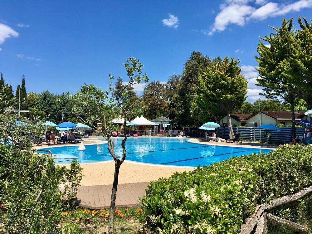 Room in Bungalow - Greenchalets Bungalow Tuscany Viareggio