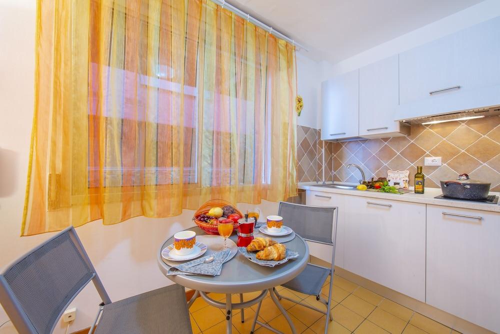 Cervo 319D With Shared Pool