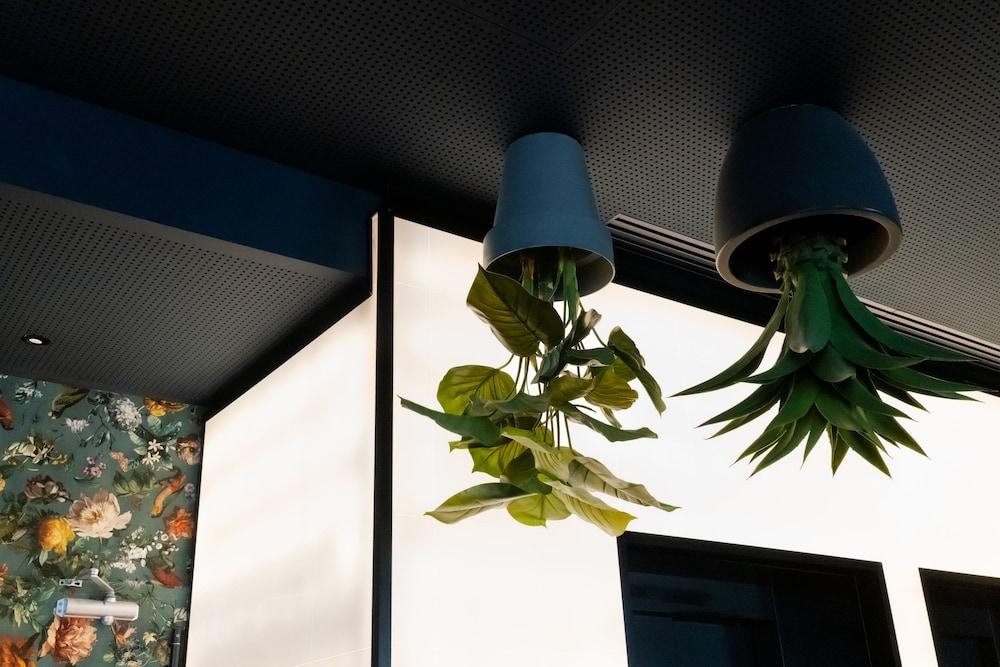 Chic & Basic Gravity