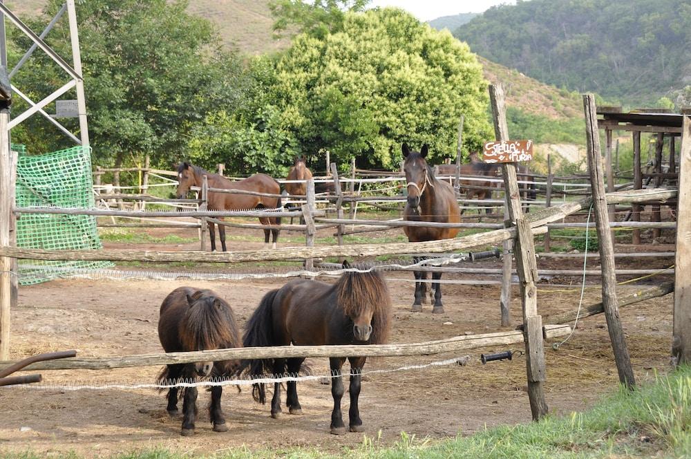 Tuscan Rustic Apartment