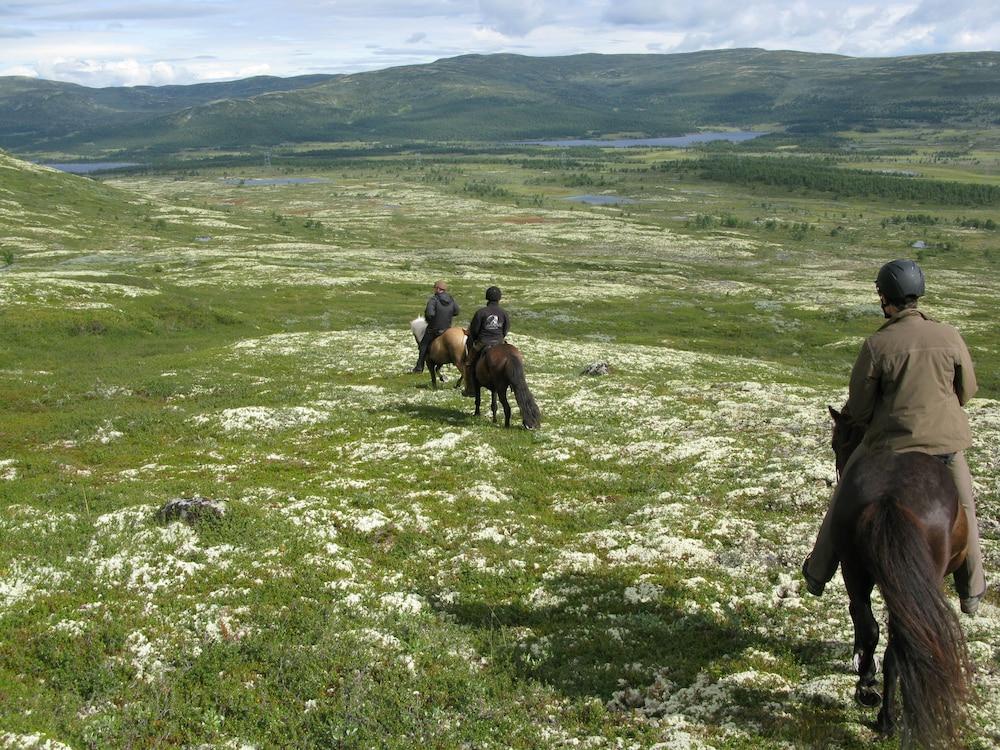 Dalseter Høyfjellshotell