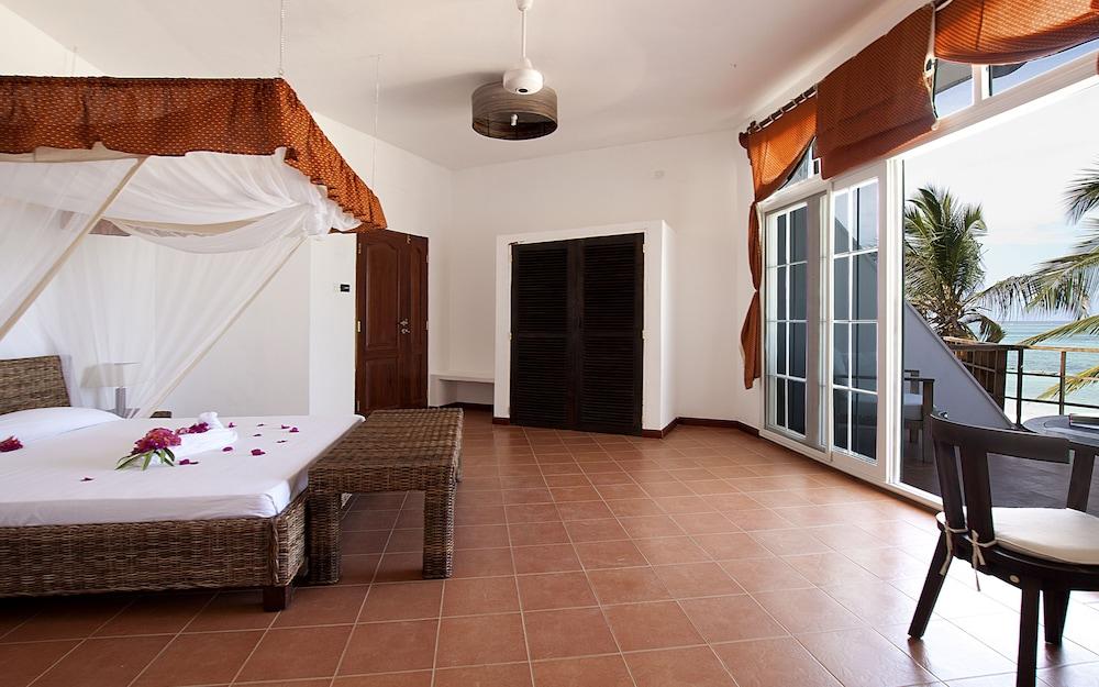 Albatross Ocean View