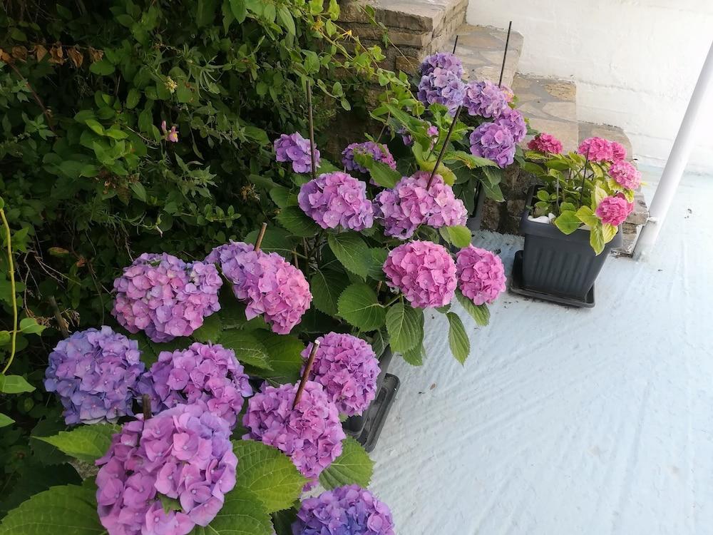 Scorpios Hotel & Suites