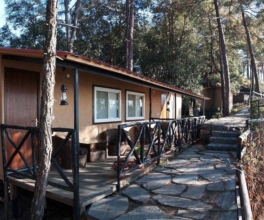 Aamod Resort - Shoghi