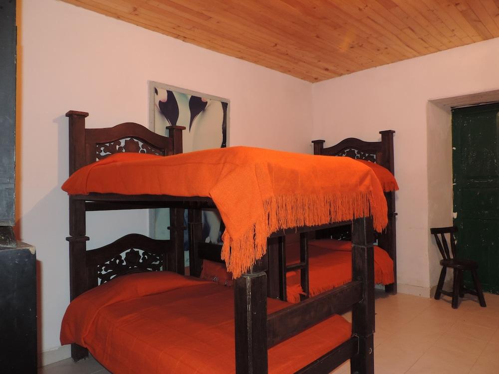 Hostal Aventureros de la Candelaria - Hostel