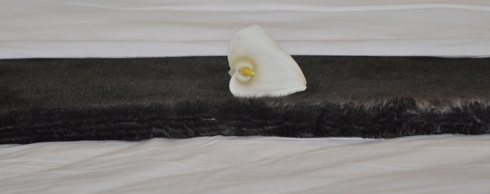 The Highlander Hotel