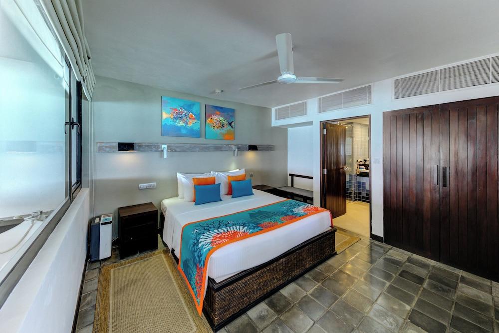 Hikka Tranz by Cinnamon