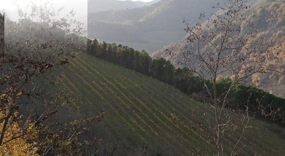 Borghetto di Brola - Relais de Charme