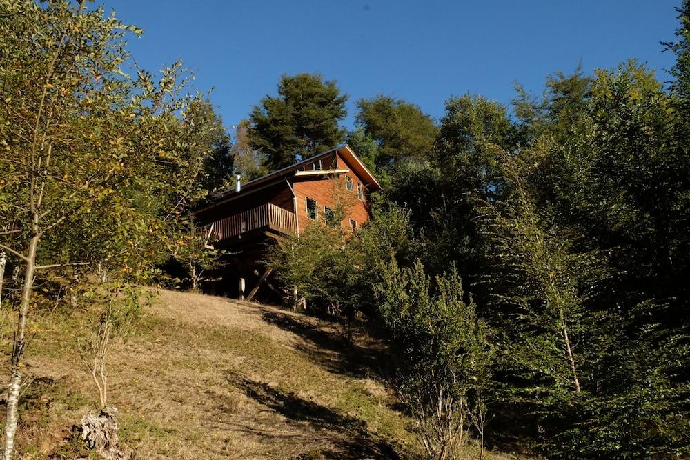 Entre Pampa y Bosque