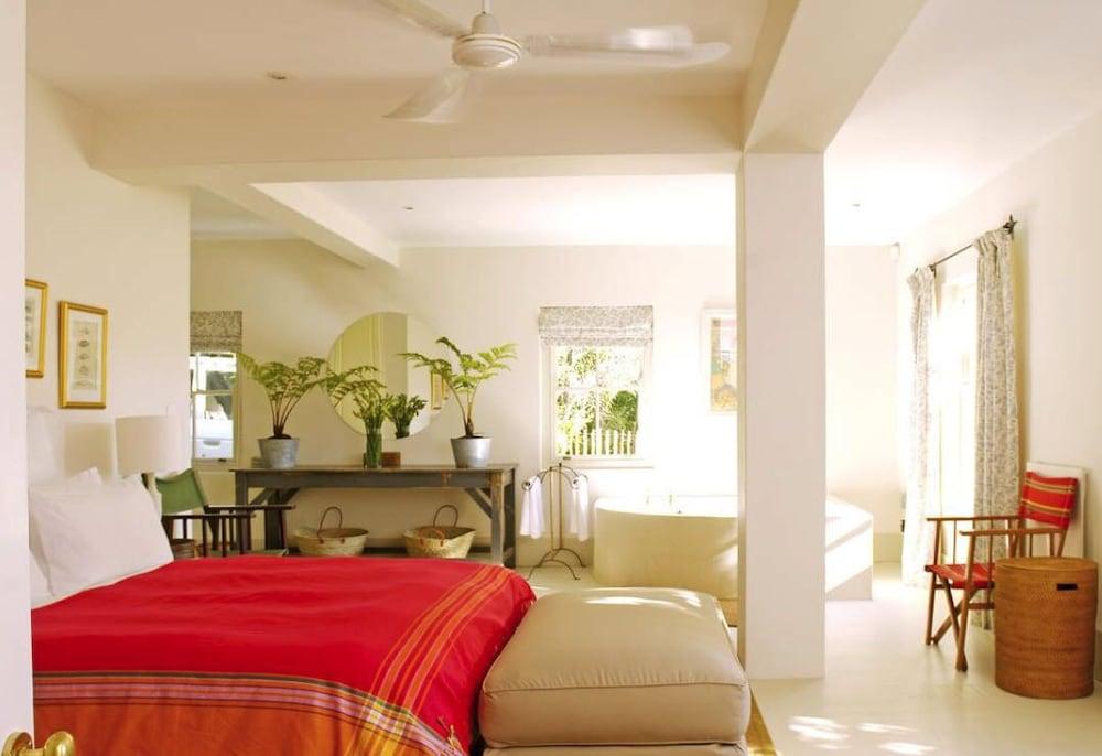 Aloe Corner Franschhoek