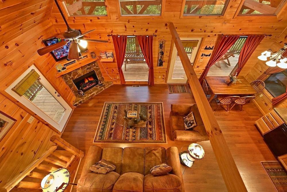 A Bear's Eye View #251