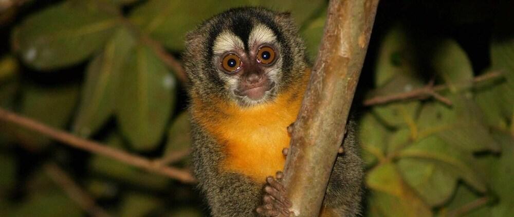 A Pousada do Rio Mutum