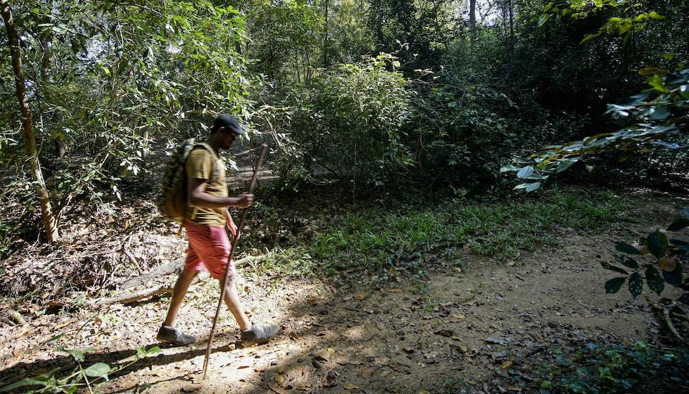 Yuhibuhi Forest Resort