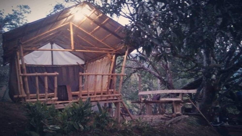 Cebu Hostel and Glamping