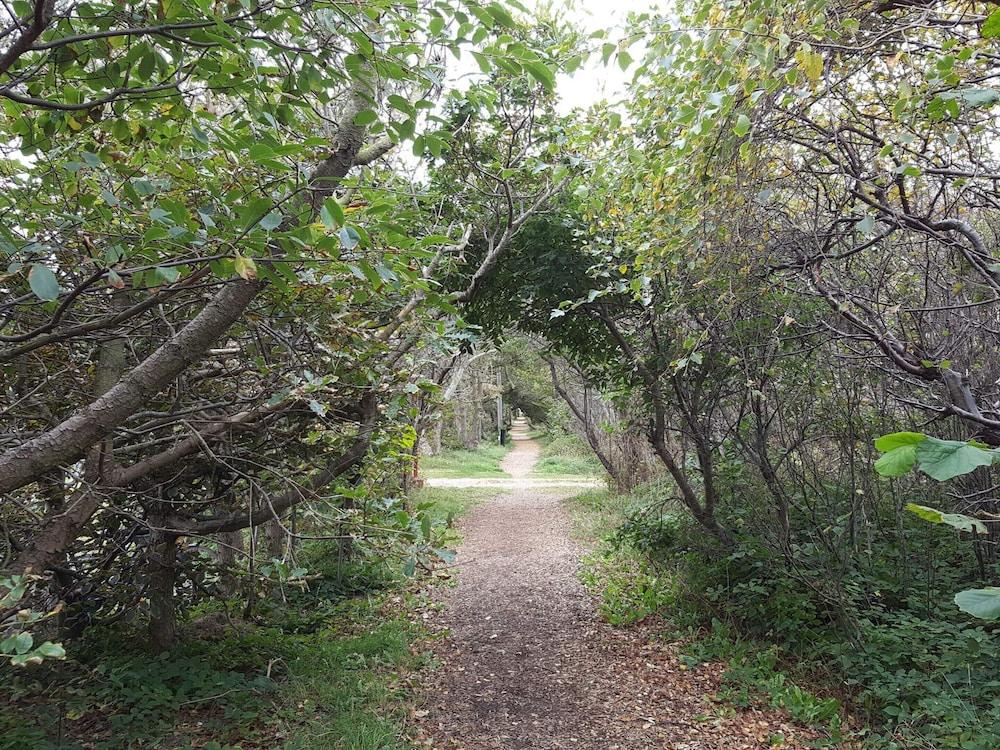 Surf Paradise in Klitmoller - By Traum Ferienwohnungen