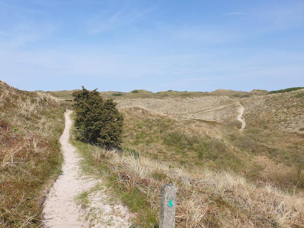 8 Person Holiday Home in Bindslev-by Traum