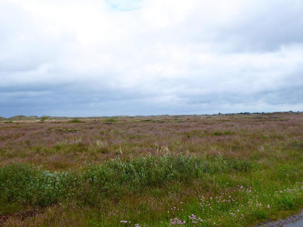 6 Person Holiday Home in Frederikshavn-by Traum