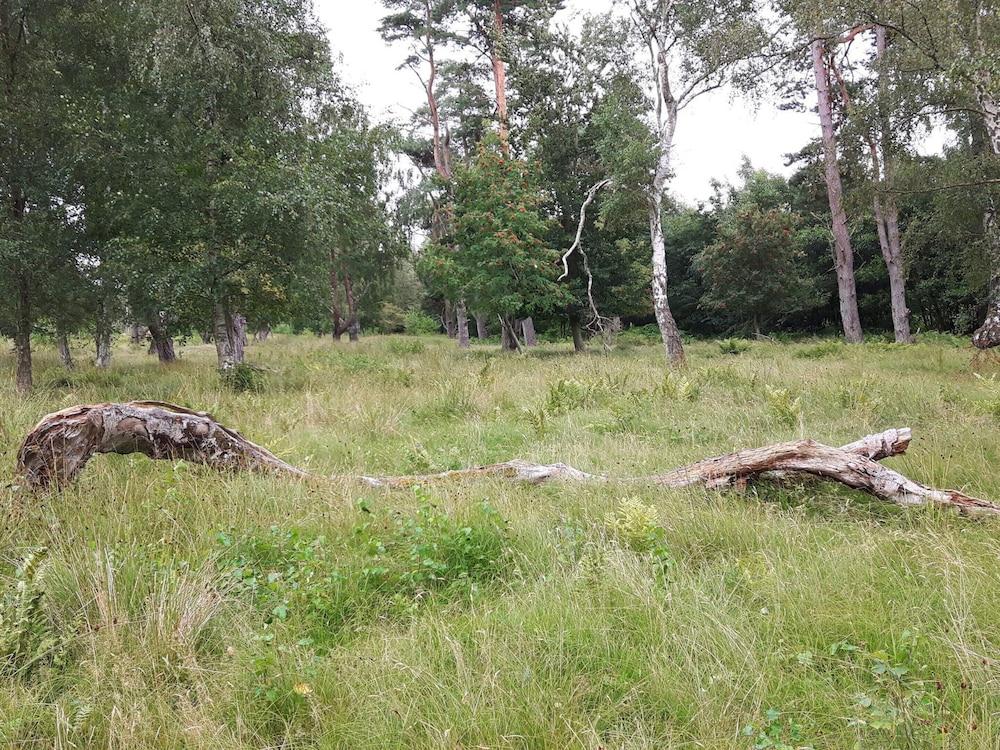 9 Person Holiday Home in Vaeggerlose-by Traum