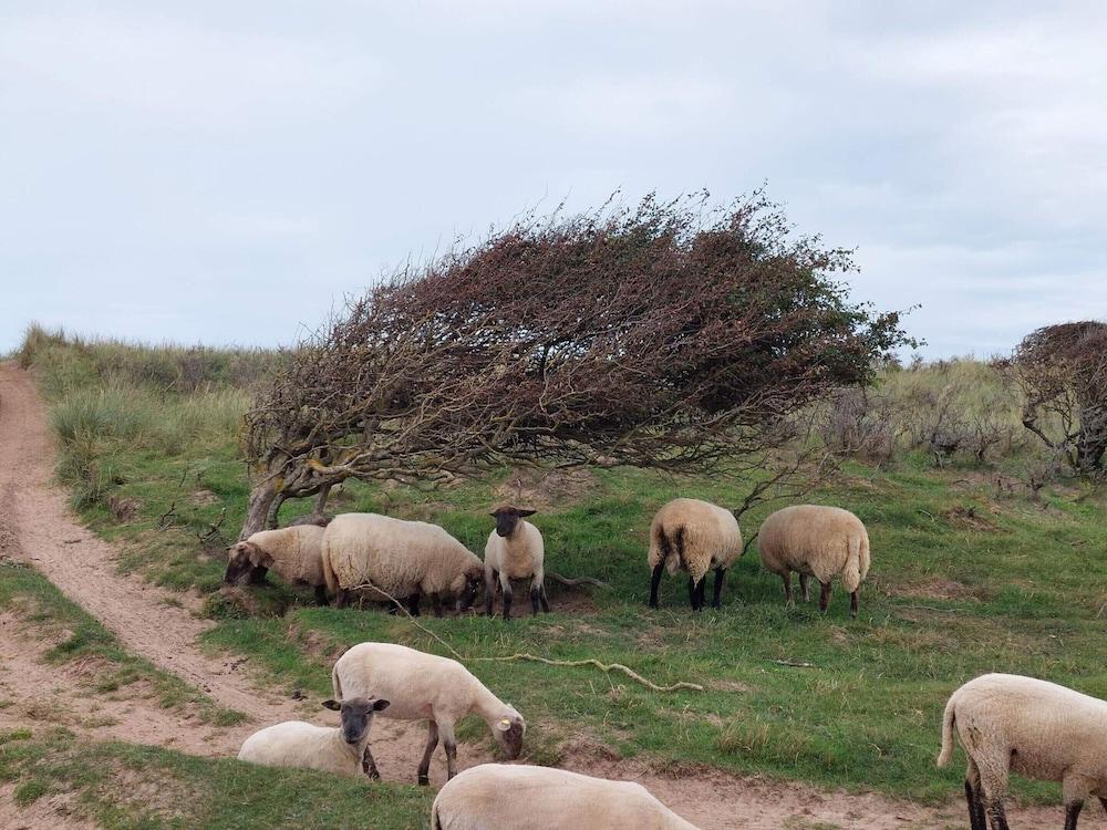 6 Person Holiday Home in Hjorring-by Traum