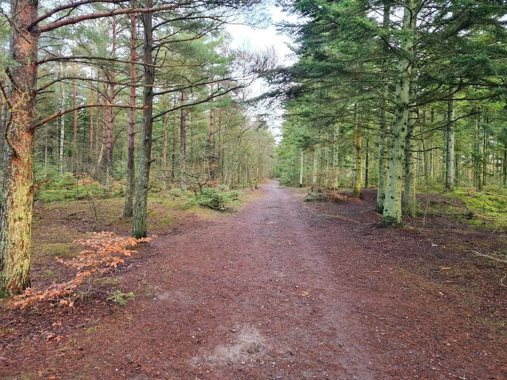 8 Person Holiday Home in Albaek-by Traum