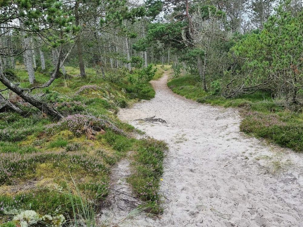 Secluded Oasis With Pool - By Traum Ferienwohnungen