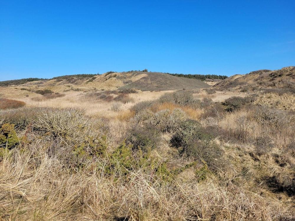 6 Person Holiday Home in Hirtshals-by Traum