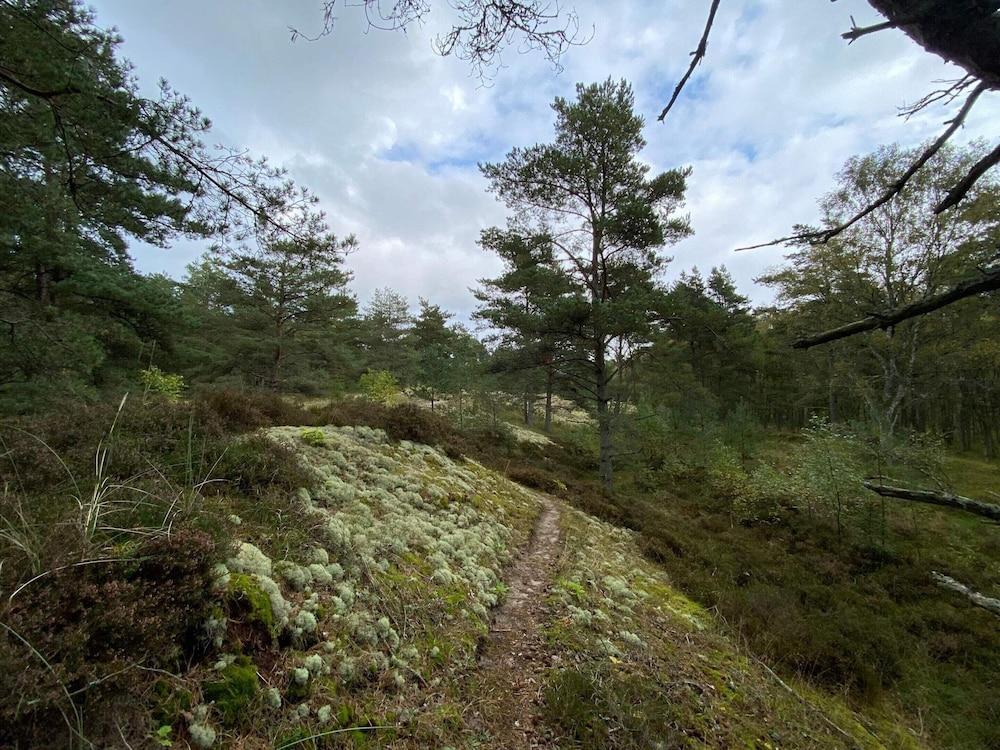 6 Person Holiday Home in Hadsund-by Traum