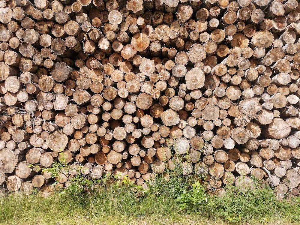 6 Person Holiday Home in Hadsund-by Traum