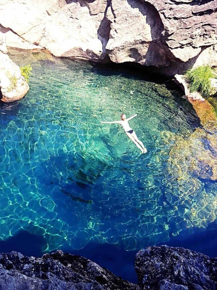 Forest House Casinha do Carvalhal