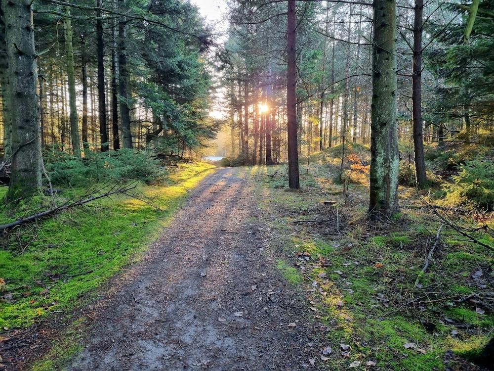 Lovely Holiday Home in Pandrup near Sea