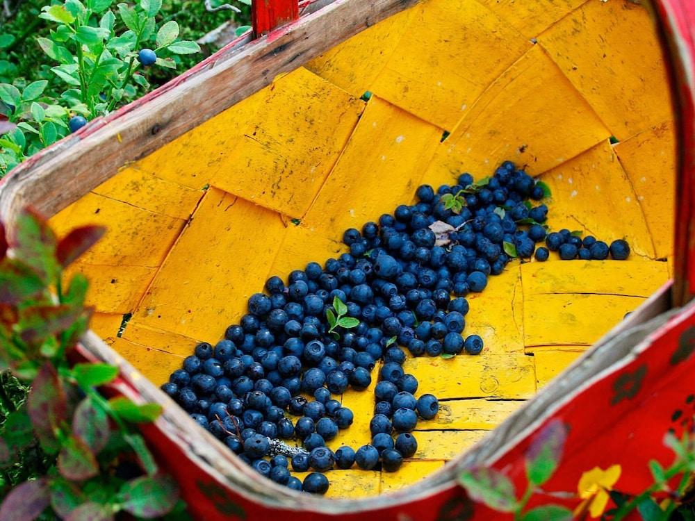 Holiday Home in SÃ¤len
